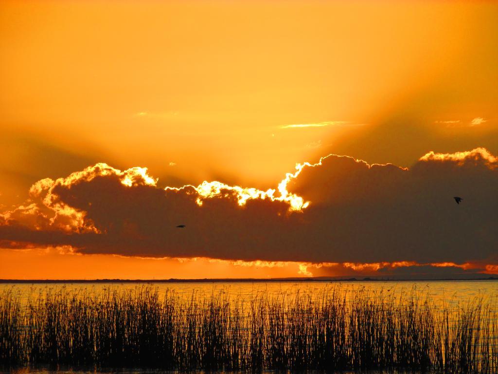 Lake Albert Caravan Park Ξενοδοχείο Meningie Εξωτερικό φωτογραφία
